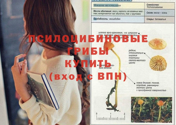 MDMA Абинск