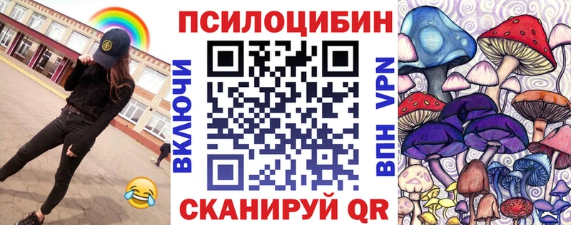 наркошоп  Елизово  Галлюциногенные грибы Cubensis 